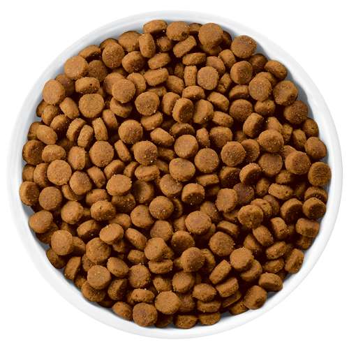 Dry Pet Food