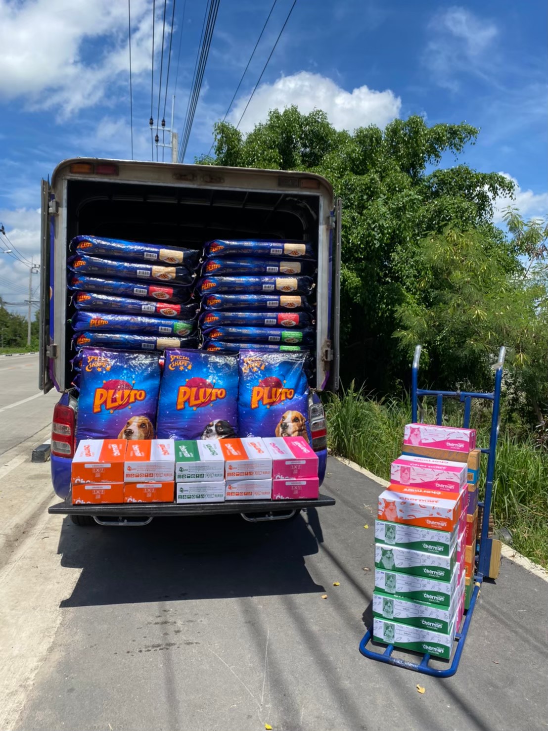 Pluto Pet Food Delivery logistics